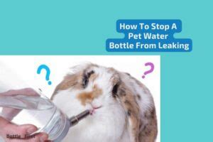 How to Fix Leaking Pet Water Bottle